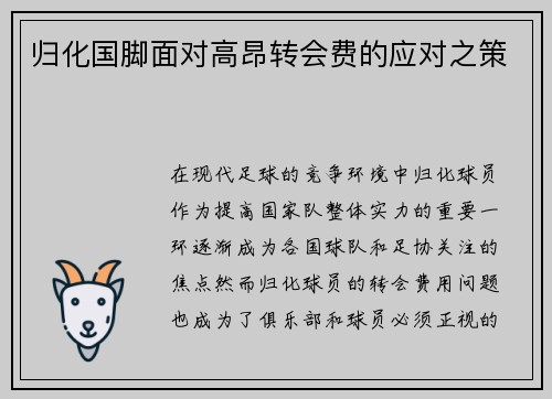 归化国脚面对高昂转会费的应对之策
